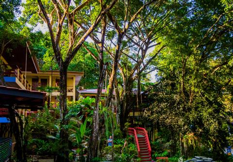Jungle Beach Hotel Costa Rica